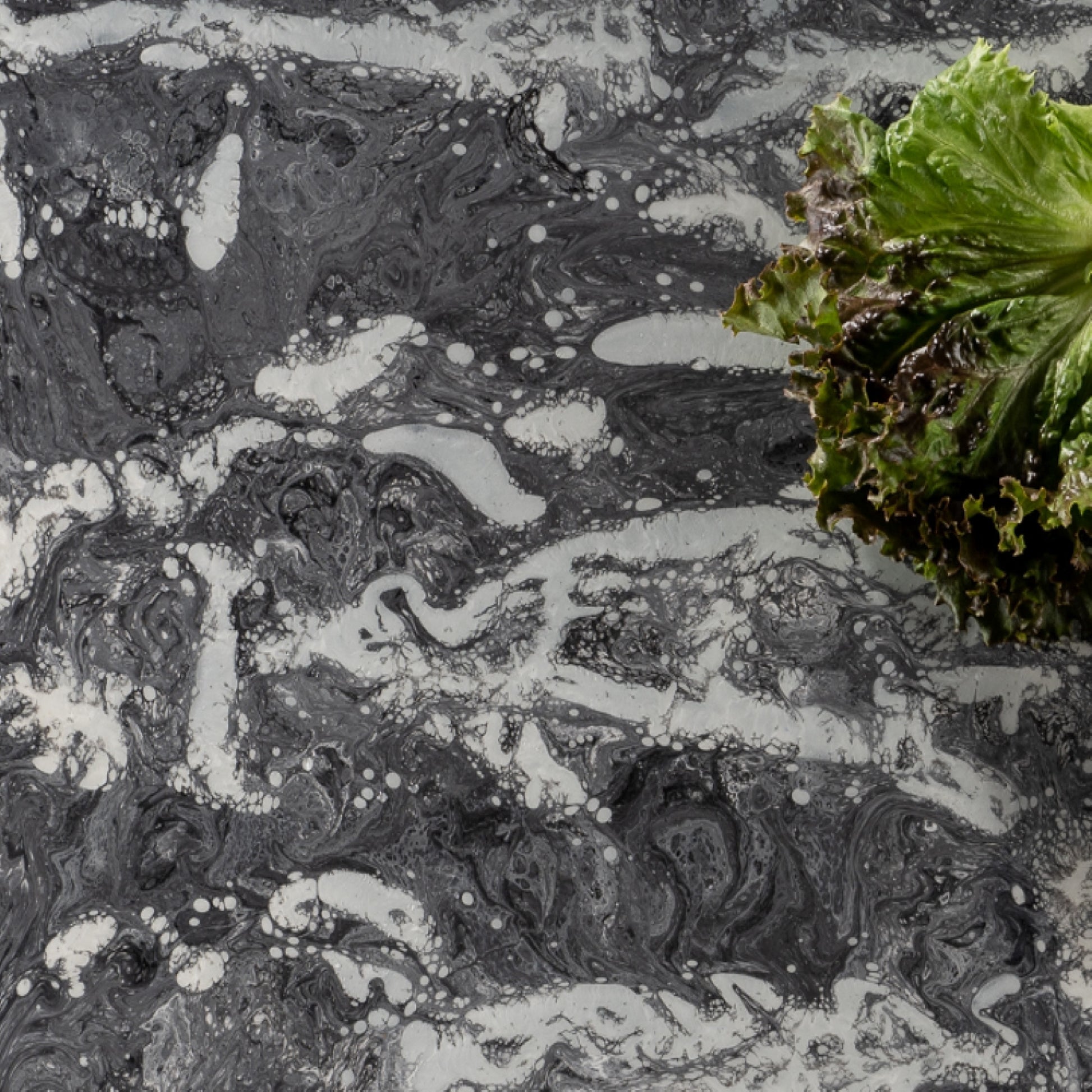 Versatile Shades: PEARL ALLOY - Fusion Surface for Gray Tones and Creative Design